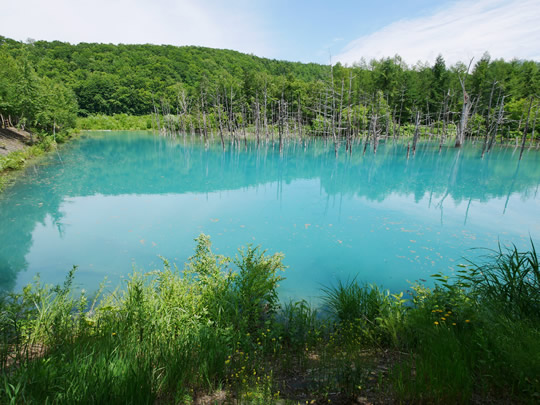コバルトブルーの池