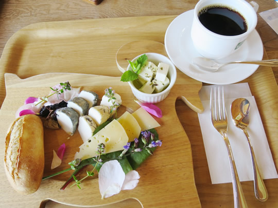 チーズが満喫できるランチ