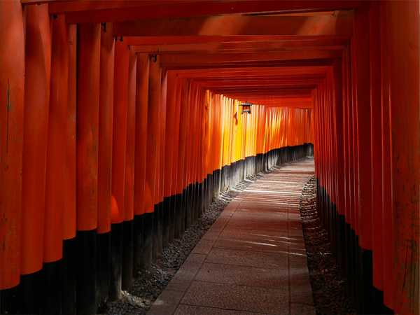 異次元に来たような伏見稲荷大社の千本鳥居