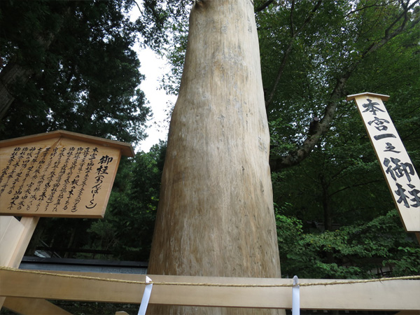 御柱祭で有名な諏訪大社の御柱